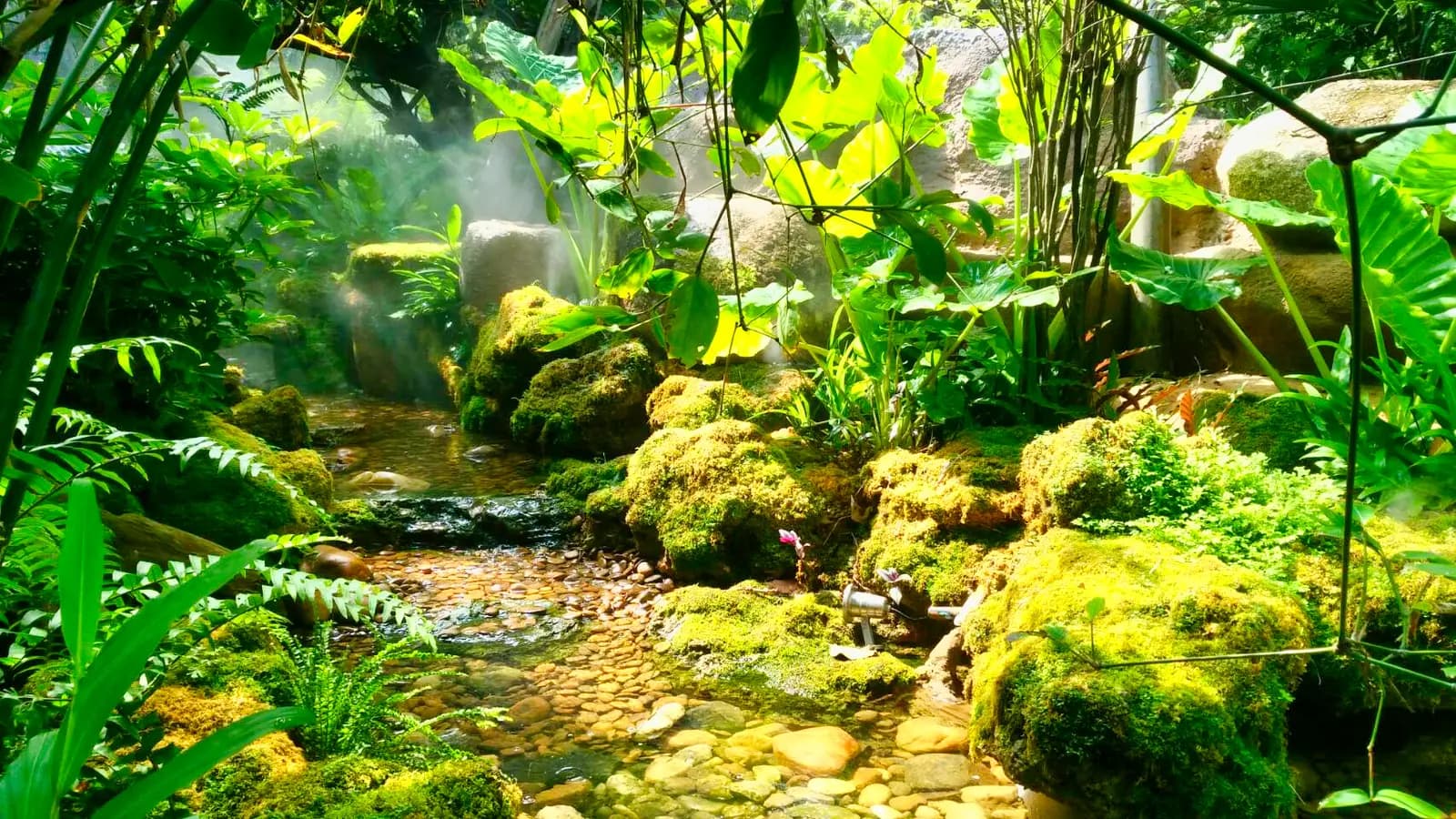 จัดสวนจำลองบรรยากาศธรรมชาติ